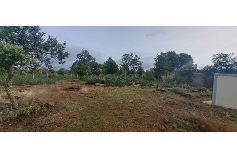 Helårsgrund i Mogadouro, Braganca, Mogadouro - € 96.000 | Ref: BG98424MG - foto 11