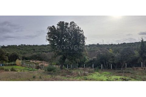Helårsgrund i Mogadouro, Braganca, Mogadouro - € 96.000 | Ref: BG98424MG - foto 13