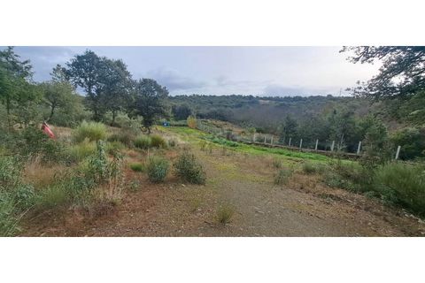 Helårsgrund i Mogadouro, Braganca, Mogadouro - € 96.000 | Ref: BG98424MG - foto 14