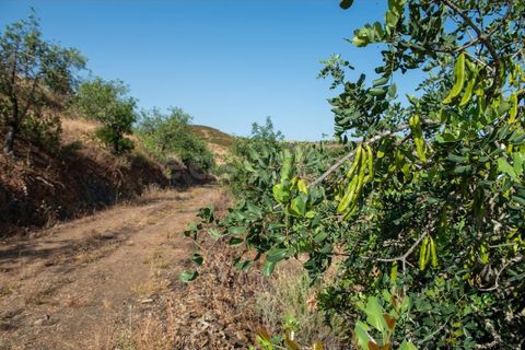 Helårsgrund i Castro Marim, Faro, Castro Marim - € 129.000 | Ref: AL97366VR - foto 15