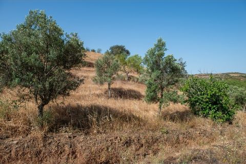 Helårsgrund i Castro Marim, Faro, Castro Marim - € 129.000 | Ref: AL97366VR - foto 26