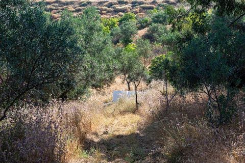 Helårsgrund i Castro Marim, Faro, Castro Marim - € 129.000 | Ref: AL97366VR - foto 29