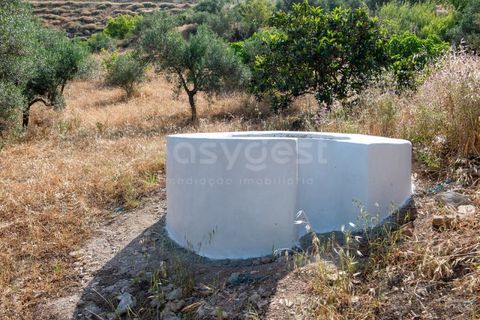 Helårsgrund i Castro Marim, Faro, Castro Marim - € 129.000 | Ref: AL97366VR - foto 31