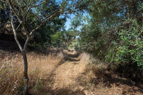Helårsgrund i Castro Marim, Faro, Castro Marim - € 129.000 | Ref: AL97366VR - foto 37