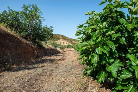 Helårsgrund i Castro Marim, Faro, Castro Marim - € 129.000 | Ref: AL97366VR - foto 39