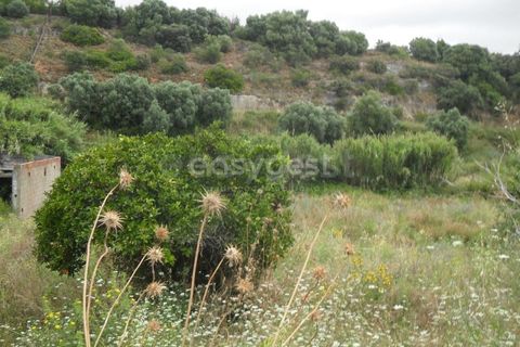 Villa i Alcanena, Santarem, Alcanena - € 220.000 | Ref: TM95379 - foto 7