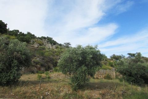 Helårsgrund i Ladoeiro, Castelo Branco, Ladoeiro - € 89.000 | Ref: LA99482NN - foto 5
