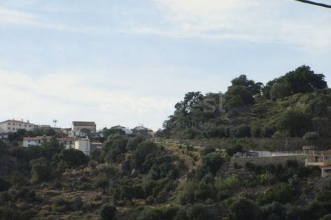 Helårsgrund i Ladoeiro, Castelo Branco, Ladoeiro - € 89.000 | Ref: LA99482NN - foto 7