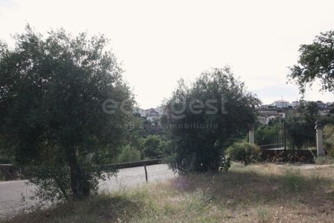 Helårsgrund i Ladoeiro, Castelo Branco, Ladoeiro - € 89.000 | Ref: LA99482NN - foto 10