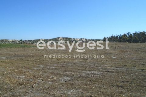 Tomt i Pataias, Leiria, Pataias - € 200 000 | Ref: LE90159NZ - foto 4