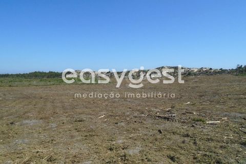 Tomt i Pataias, Leiria, Pataias - € 200 000 | Ref: LE90159NZ - foto 5