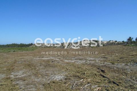 Tomt i Pataias, Leiria, Pataias - € 200 000 | Ref: LE90159NZ - foto 7