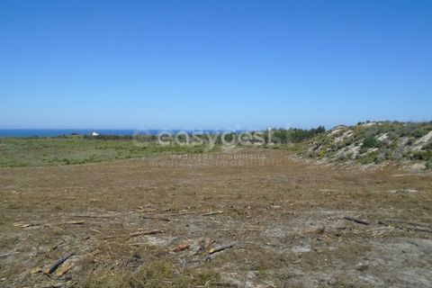 Tomt i Pataias, Leiria, Pataias - € 200 000 | Ref: LE90159NZ - foto 19
