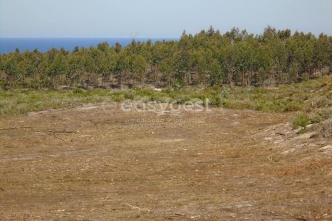 Tomt i Pataias, Leiria, Pataias - € 200 000 | Ref: LE90159NZ - foto 20