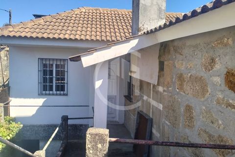 Farm i Viseu, Viseu, Viseu - € 380.000 | Ref: MAS_151 - foto 13