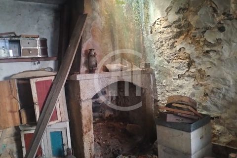 Farm i Viseu, Viseu, Viseu - € 380.000 | Ref: MAS_151 - foto 14