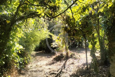Farm i Viseu, Viseu, Viseu - € 380.000 | Ref: MAS_151 - foto 15