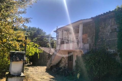 Farm i Viseu, Viseu, Viseu - € 380.000 | Ref: MAS_151 - foto 16