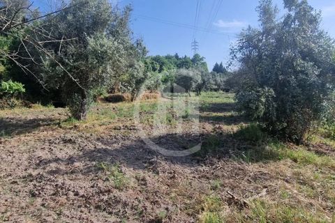 Terra a Celorico da Beira, Guarda, Celorico da Beira - € 49.000 | Ref: SÒL_122 - foto 2