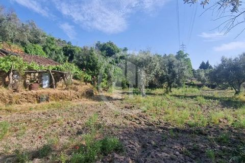 Terra a Celorico da Beira, Guarda, Celorico da Beira - € 49.000 | Ref: SÒL_122 - foto 3