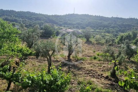 Terra a Celorico da Beira, Guarda, Celorico da Beira - € 49.000 | Ref: SÒL_122 - foto 4
