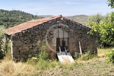 Terra a Celorico da Beira, Guarda, Celorico da Beira - € 49.000 | Ref: SÒL_122 - foto 5