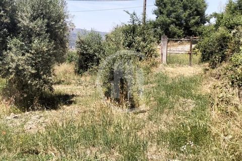 Terra a Celorico da Beira, Guarda, Celorico da Beira - € 49.000 | Ref: SÒL_122 - foto 6