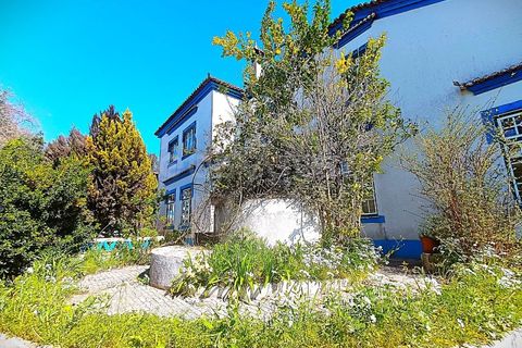 Villa en Mouriscas, Santarem, Mouriscas - € 244.000 | Ref: TM98896 - photo 1