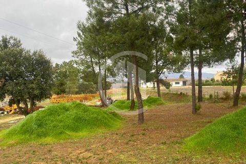 Helårsgrund i Fundao, Castelo Branco, Fundao - € 99.000 | Ref: TER_183 - foto 1