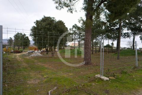 Helårsgrund i Fundao, Castelo Branco, Fundao - € 99.000 | Ref: TER_183 - foto 2