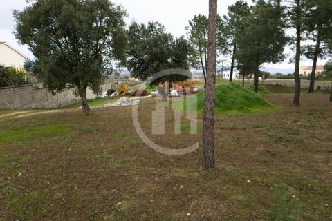Helårsgrund i Fundao, Castelo Branco, Fundao - € 99.000 | Ref: TER_183 - foto 3