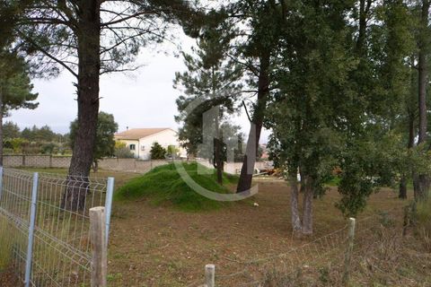 Helårsgrund i Fundao, Castelo Branco, Fundao - € 99.000 | Ref: TER_183 - foto 4