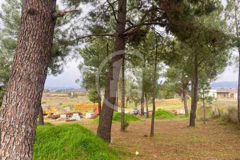 Helårsgrund i Fundao, Castelo Branco, Fundao - € 99.000 | Ref: TER_183 - foto 5