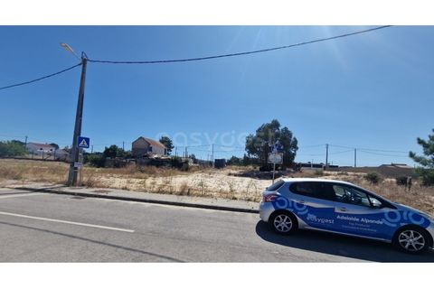 Helårsgrund i Quinta do Anjo, Setubal, Quinta do Anjo - € 110.000 | Ref: ST97952EC - foto 5