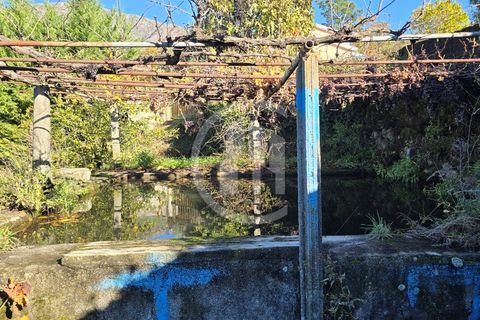Helårsgrund i Covilha, Castelo Branco, Covilha - € 35.000 | Ref: TER_185 - foto 3