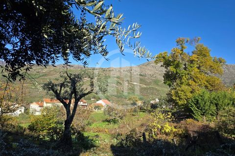 Helårsgrund i Covilha, Castelo Branco, Covilha - € 35.000 | Ref: TER_185 - foto 5