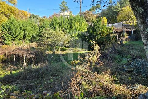 Helårsgrund i Covilha, Castelo Branco, Covilha - € 35.000 | Ref: TER_185 - foto 6