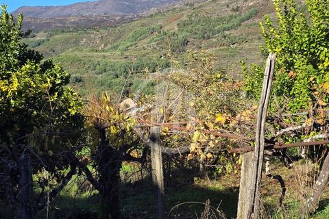 Helårsgrund i Covilha, Castelo Branco, Covilha - € 35.000 | Ref: TER_185 - foto 7