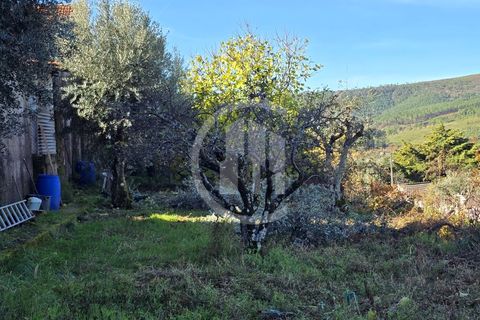 Helårsgrund i Covilha, Castelo Branco, Covilha - € 35.000 | Ref: TER_185 - foto 8