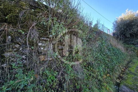 Helårsgrund i Covilha, Castelo Branco, Covilha - € 35.000 | Ref: TER_185 - foto 9