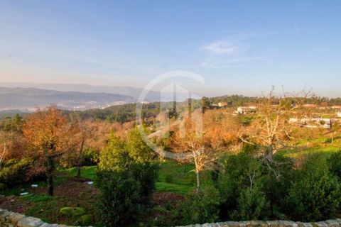 Farm i Vouzela, Viseu, Vouzela - € 2.200.000 | Ref: MAS_197 - foto 11
