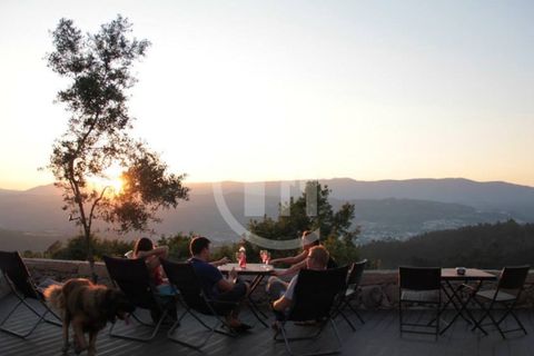 Farm i Vouzela, Viseu, Vouzela - € 2.200.000 | Ref: MAS_197 - foto 17