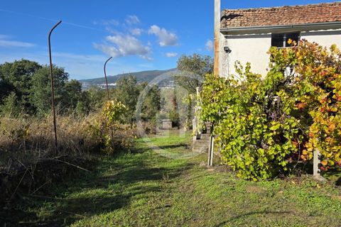 Gård i Ferro, Castelo Branco, Ferro - € 107 000 | Ref: MAS_165 - foto 2