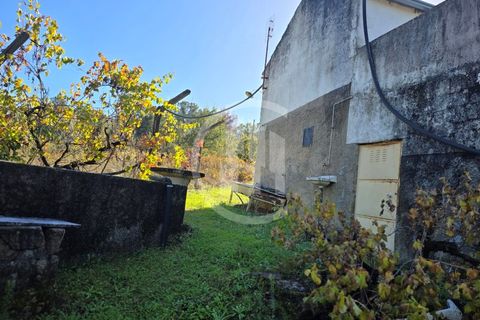Gård i Ferro, Castelo Branco, Ferro - € 107 000 | Ref: MAS_165 - foto 5