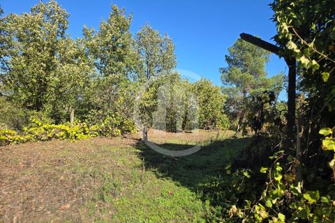 Gård i Ferro, Castelo Branco, Ferro - € 107 000 | Ref: MAS_165 - foto 6