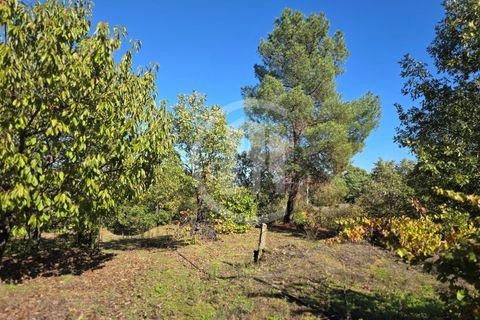 Gård i Ferro, Castelo Branco, Ferro - € 107 000 | Ref: MAS_165 - foto 7