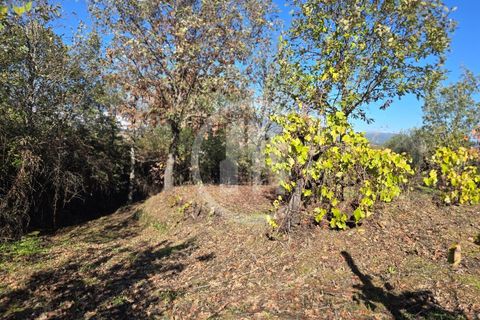 Gård i Ferro, Castelo Branco, Ferro - € 107 000 | Ref: MAS_165 - foto 8
