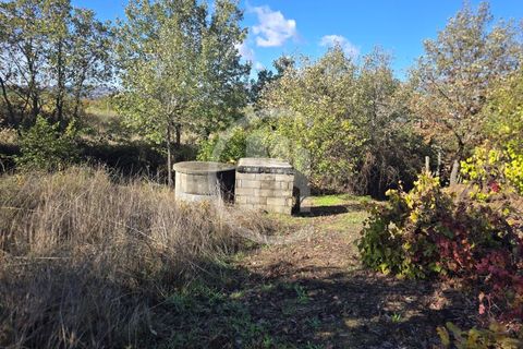 Gård i Ferro, Castelo Branco, Ferro - € 107 000 | Ref: MAS_165 - foto 10