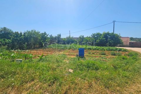 Villa i Algoz, Faro, Algoz - € 600.000 | Ref: AL99553LP - foto 11