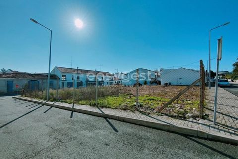 Terra a Aljustrel, Beja, Aljustrel - € 220.000 | Ref: BJ96430 - foto 5